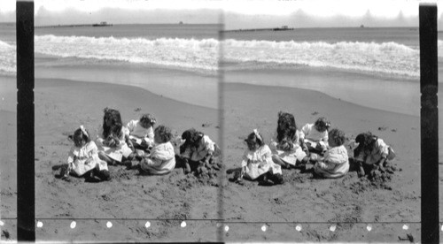 The little beach birds, Narragansett Pier, R.I