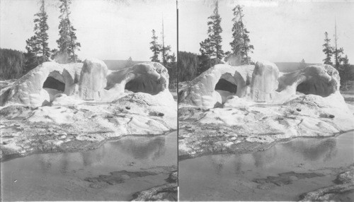 Curious Cone of Grotto Geyser formed by deposits from its boiling waters, Yellowstone Park, U.S.A. Wyoming