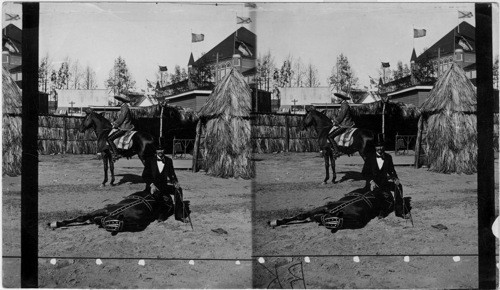 Trained horses in the Mexican Village. Atlanta Exposition, Georgia