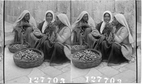 Natives of Palestine