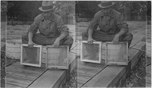 The sorting boxes of nickel plated rods. Two sizes are shown. Wayne Co., Penna