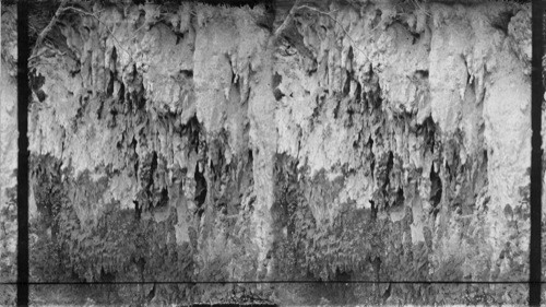 Beautiful Stalactite Formation in a cave near Hamilton, Bermuda. Moore's Cave