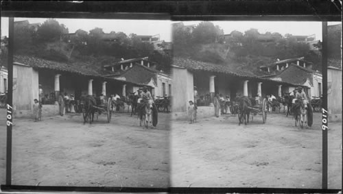 A provision store with donkey packs and donkey carts departing for the interior, Caracas, Venezuela