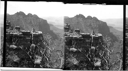 Grand Canyon. Arizona