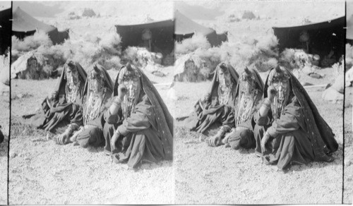 Bedouins, Sinai Wilderness, Egypt