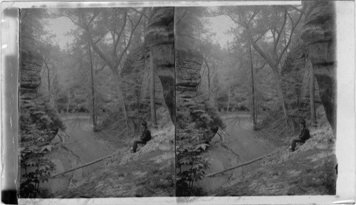 Upper portion of Higbee's Ravine, near Utica, La Salle, Co. Ill