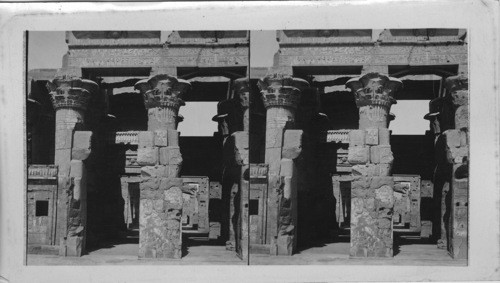 Detail in the Great Hypostle Hall Temple of Sobk and Harous at Kom Ombo