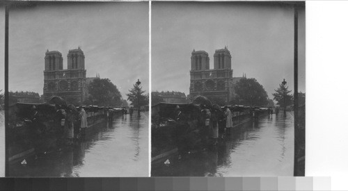 Notre Dame, Paris