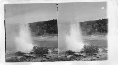 Black Warrior Geyser, Firehole Basin, Yellowstone National Park. Lower Basin?