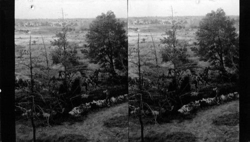 Small Section of the Battle of Gettysburg Panorama, A Century of Progress