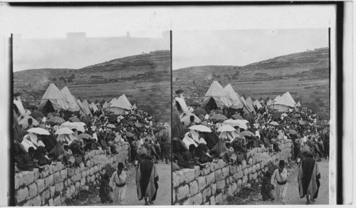 Pilgrims to the Holy City and My. Olivet, N.E. from St. Stephens Gate, Jerusalem, Palestine