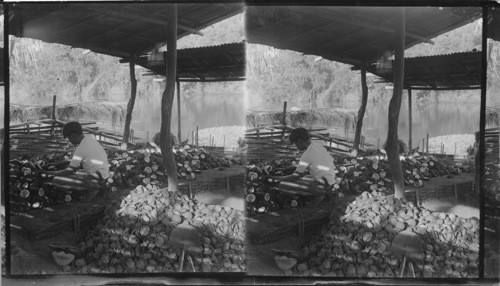 Coconut industry, a native drying furnace, Philippines