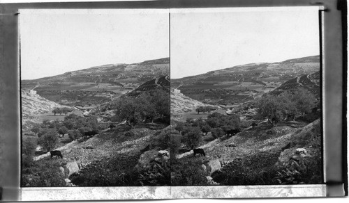 Lower Valley of Hinnom and road to the Dead Sea, Jerusalem