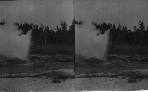 Riverside Geyser. Yellowstone Natl. Park, Wyo