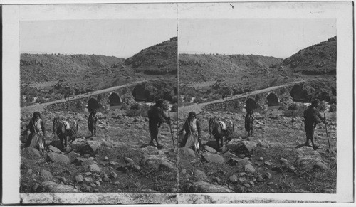 Roman Bridge over Hasbani River, Northern Palestine