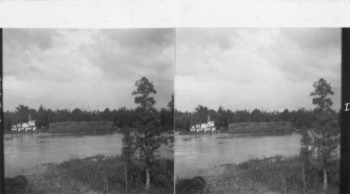 A tug and its barge full of pulp wood going down the Cape Fear River on its way to the Southern Pulp Mills, Wilmington, N.C