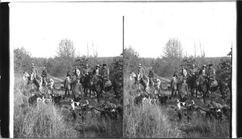 "In at the finish" - The End of a Fox Chase - Eastern Kansas