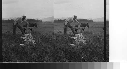 Indian and Horse - Alberta. Canada