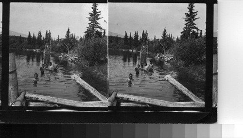 Indian Children Bathing, Chooutla School, Carcross, Y.T. [Yukon Territory]