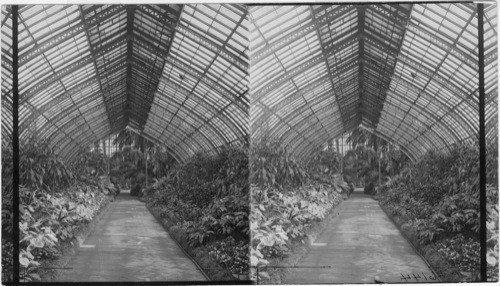 Green House, Washington Park, Chicago