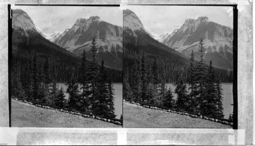 A Glimpse of Emerald Lake and Mt. Wapta from Chalet Field, B.C. Yoho