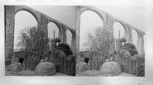 Ancient Spanish Aqueducts and Giant Cacti, Queretaro, Mexico