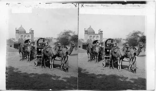 India. Two-Story Camel Wagons at Agra before Shah Jenan’s Mogul Mosque