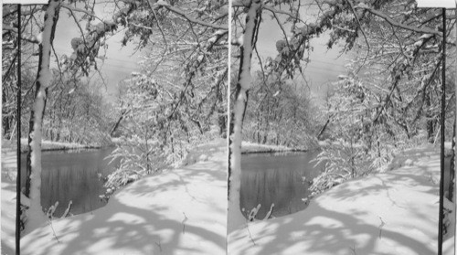 Winter Scene - Apr. 9, 1957. Cussewago Creek. Near Meadville, Pa