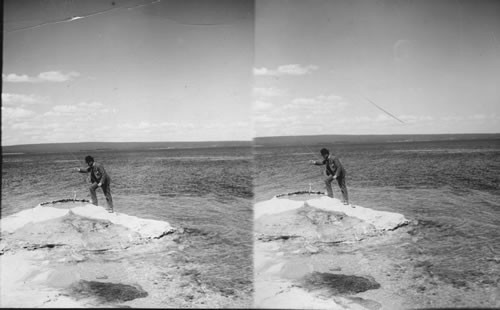 Fishing at Lake Cooking Trout in Boiling Spring. The Trout Just Caught, Y.N.P. Wyoming. (Obsolete. This isn't done anymore.)