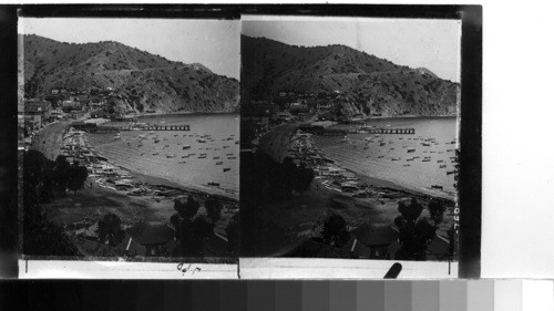 Bird's eye view of Avalon Bay Catalina Island