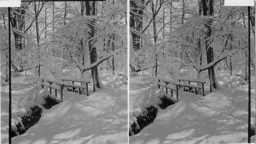 Winter Scene - Apr. 9, 1957. Reynolds Estate. Terrace St. Meadville, Pa