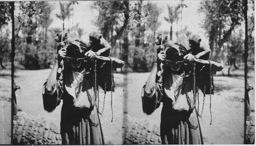 The Monkey Trainer, Cairo, Egypt