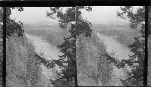 The slough on arm of the Columbia River. Where the great log rafts are built. Washington