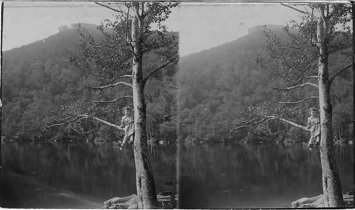 The Great Stone Face, Franconia. N. H