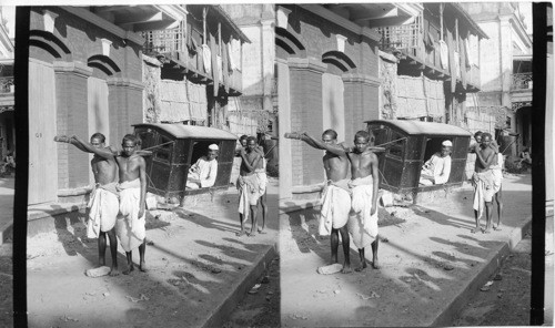 A Palanquin in Calcutta. India