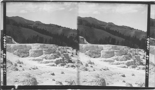 Minerva Terrace, showing the nearly extinct spring on its summit. Mammoth Hot Springs