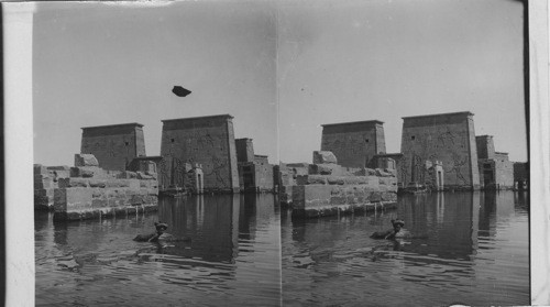 Temple of Isis flooded by the Nile, Philae, Egypt