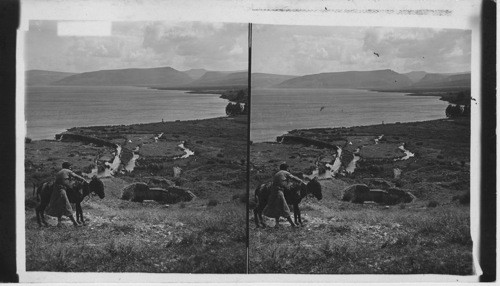 Tibighah Spring and Gennesaret Plain; View S. W. to Horns of Hattin. Palestine