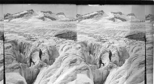 Great Asulkan Glacier, looking S.W. to Castor and Pollus and Dome, Selkirk Mts., B.C. Canada