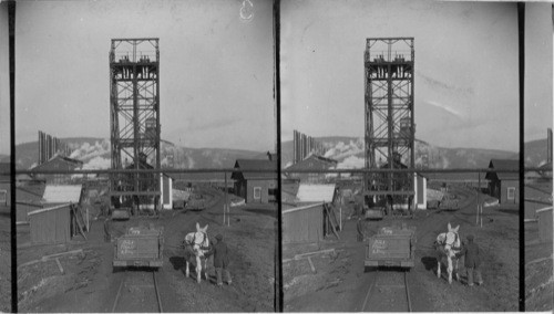 North to shaft tower - at left smoke stacks of boiler house. Mule used to bring the empty cars up the incline, lumber shown in cars is sent down the mines and used to hold surface up from bottom of mine. On left tract the cars go down by gravity to the "shaft carriage" also called the "cage". Scranton, Pa