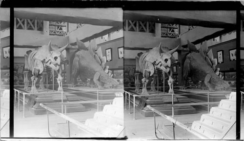 Dinosaurs - Probably in National Museum Exhibit at St. Louis Exposition. St. Louis, Mo