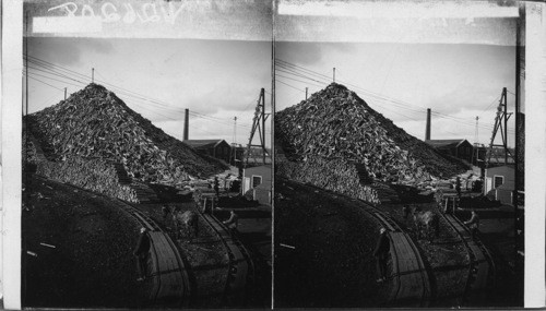 Trucking logs by rail to pile conveyor. Paper factory. Bangor, Maine