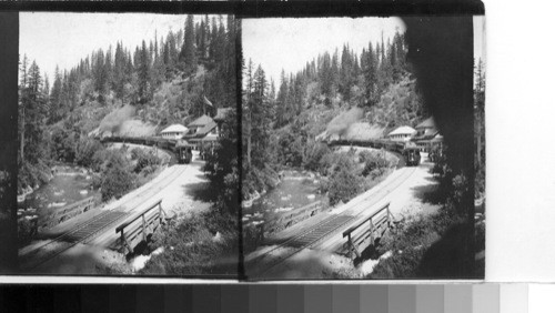 Southern Pacific train at Shasta Springs, valley of the Sacramento, Calif