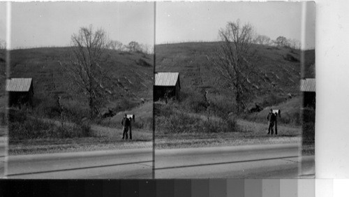 TVA [Tennessee Valley Authority] Land Erosion--near Knoxville