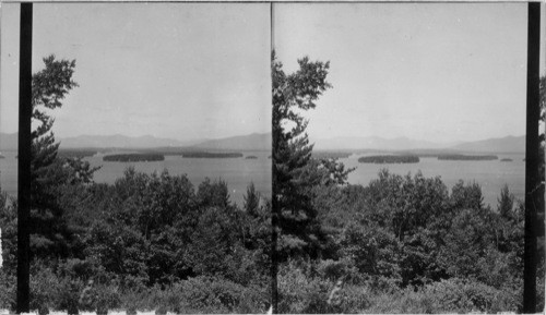 Lake Winnepesaukee from Locke's Hill, N. H