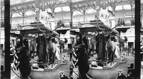 Magic Fur Exhibition, Liberal Arts Building, World's Columbian Exposition, Chicago