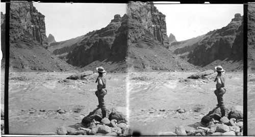 Colorado River. Ariz