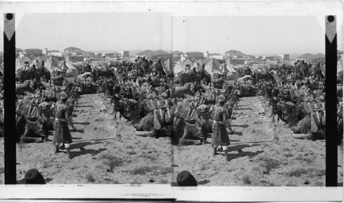 In a camp of Mohammedan pilgrims from Persia - Jaffa. Palestine