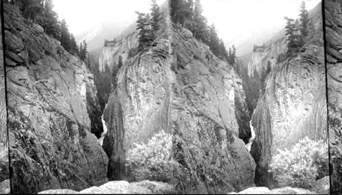 Upper Box Canyon in the Rocky Mts. near Ouray. Colorado