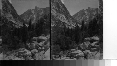 Important Geography Calif. South of Mist Falls-looking south to Grand Sentinel- Canyon of Bubbs Creek at left. Fresno Co., Calif. Same remarks for #47499- You see I was counting on this trimming & put myself on that spot at cost of trimming- & get Bubbs' Creek Canyon at left & cloud, but I believe with you here I should have moved down a couple rocks below & have no background to by body of rock as it were[?] mixed with the trees in this-